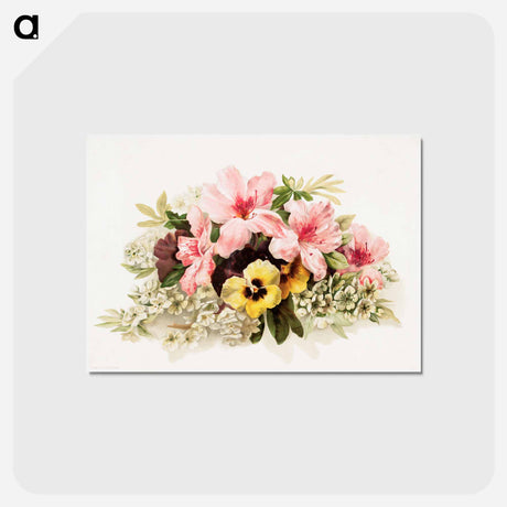 アートポストカード-Spring Blossoms
 - ボストン公共図書館 Postcard.