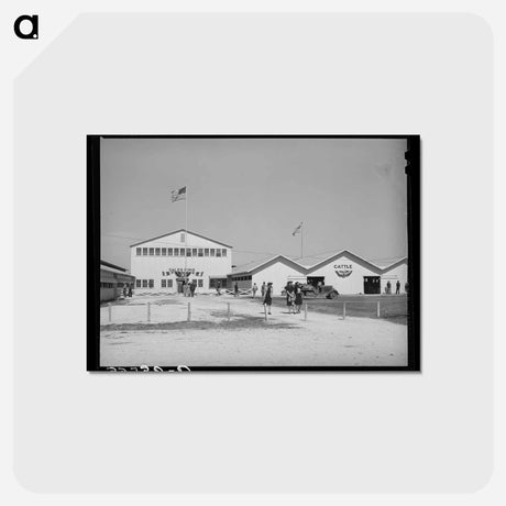 アートポストカード-San Angelo Fat Stock Show Buildings
 - ラッセル リー Postcard.