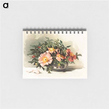 アートメモ帳-Wild Azaleas and Wild Roses
 - ボストン公共図書館 Memo.