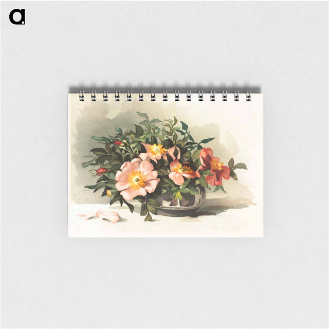 アートメモ帳-Wild Azaleas and Wild Roses
 - ボストン公共図書館 Memo.