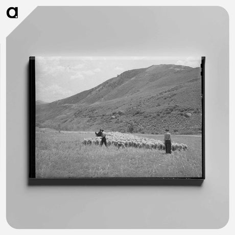 アートパネル-Driving Fat Lambs to Cimarron
 - ラッセル リー Canvas.