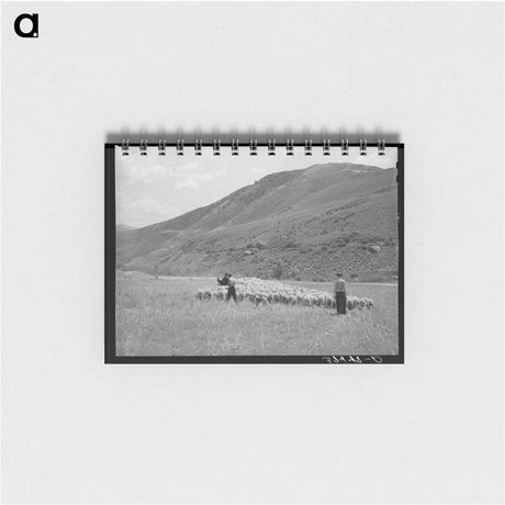 アートメモ帳-Driving Fat Lambs to Cimarron
 - ラッセル リー Memo.
