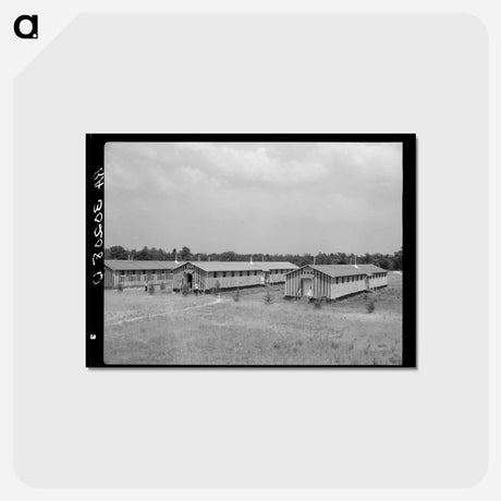 アートポストカード-Resettlement Land Use Project
 - ラッセル リー Postcard.