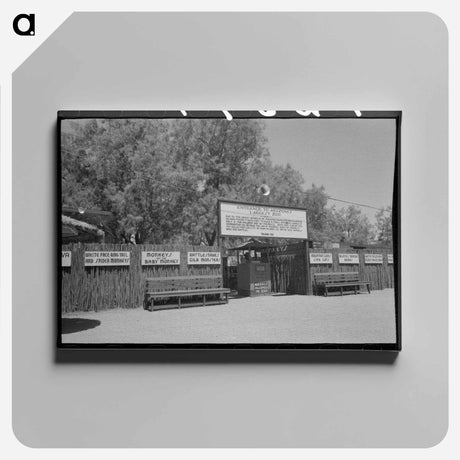 アートパネル-Apache Junction Zoo
 - ラッセル リー Canvas.