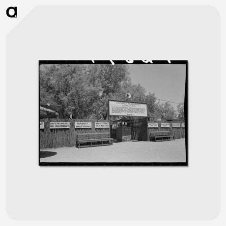 アートポストカード-Apache Junction Zoo
 - ラッセル リー Postcard.