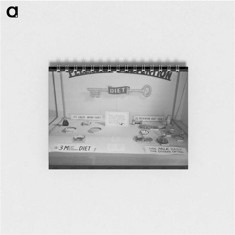 アートメモ帳-Agricultural Hall Display
 - ラッセル リー Memo.