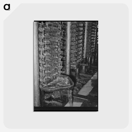 アートポストカード-Cotton Seed Oil Mill
 - ラッセル リー Postcard.