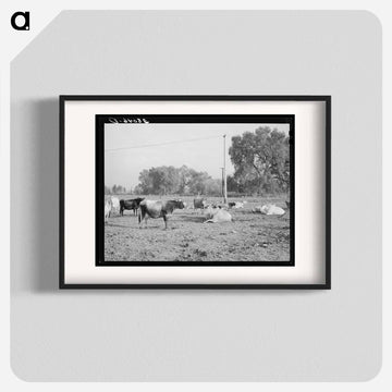 Dairy Herd, Mineral King Farm
 - ラッセル リー Poster.