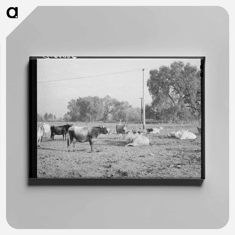 アートパネル-Dairy Herd, Mineral King Farm
 - ラッセル リー Canvas.
