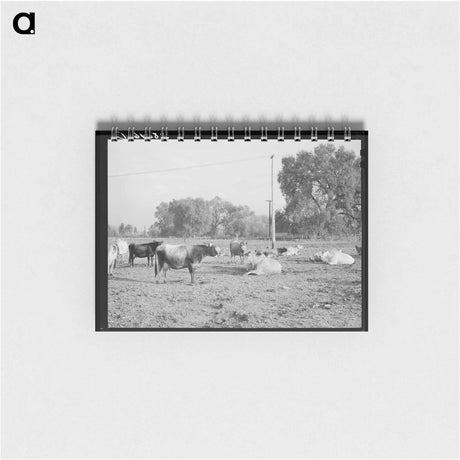 アートメモ帳-Dairy Herd, Mineral King Farm
 - ラッセル リー Memo.