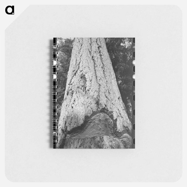 アートメモ帳-Fir Tree Trunk
 - ラッセル リー Memo.