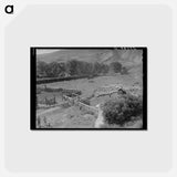 アートポストカード-Driving Fat Lambs
 - ラッセル リー Postcard.
