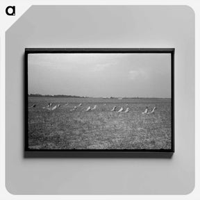 アートパネル-Picking Cotton
 - ラッセル リー Canvas.