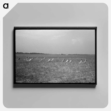 アートパネル-Picking Cotton
 - ラッセル リー Canvas.