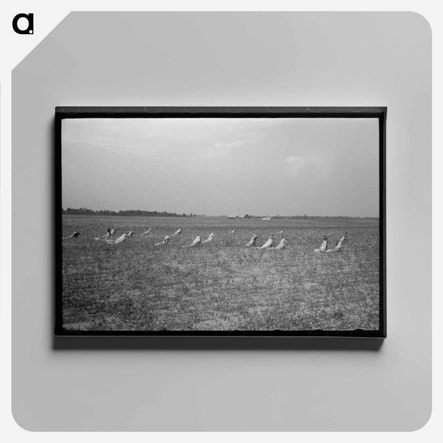 アートパネル-Picking Cotton
 - ラッセル リー Canvas.