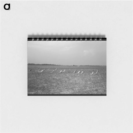 アートメモ帳-Picking Cotton
 - ラッセル リー Memo.
