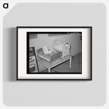 FSA Exhibit, Dallas
 - ラッセル リー Poster.