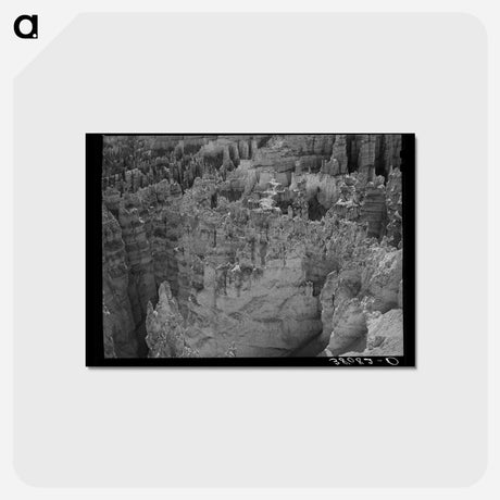 アートポストカード-Bryce Canyon Formations
 - ラッセル リー Postcard.