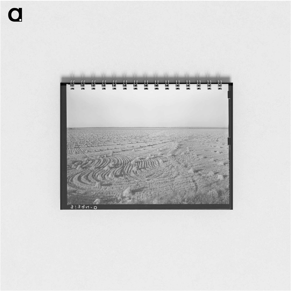 アートメモ帳-Rice Field Near Crowley
 - ラッセル リー Memo.