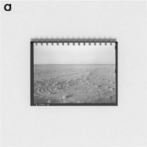 アートメモ帳-Rice Field Near Crowley
 - ラッセル リー Memo.