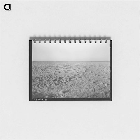 アートメモ帳-Rice Field Near Crowley
 - ラッセル リー Memo.