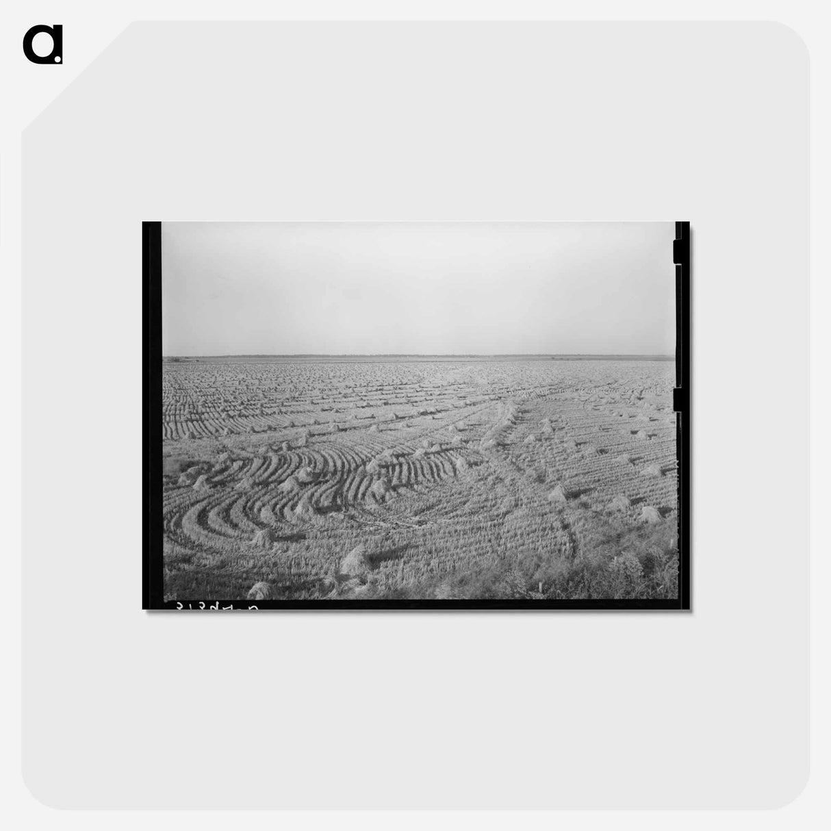 アートポストカード-Rice Field Near Crowley
 - ラッセル リー Postcard.