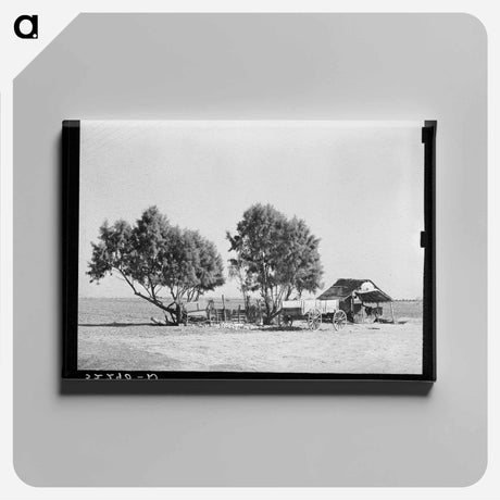 アートパネル-Mexican Farm, Texas
 - ラッセル リー Canvas.
