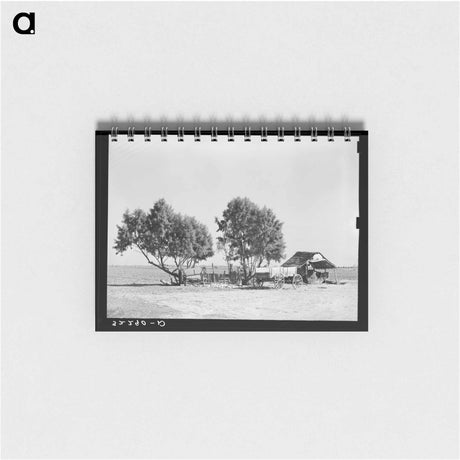 アートメモ帳-Mexican Farm, Texas
 - ラッセル リー Memo.