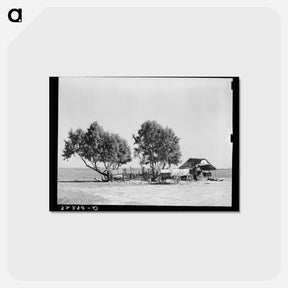アートポストカード-Mexican Farm, Texas
 - ラッセル リー Postcard.