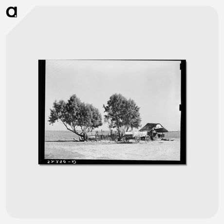 アートポストカード-Mexican Farm, Texas
 - ラッセル リー Postcard.