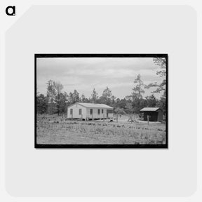 アートポストカード-Sabine Farms
 - ラッセル リー Postcard.