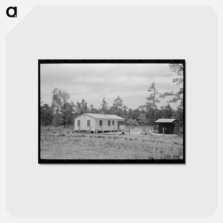 アートポストカード-Sabine Farms
 - ラッセル リー Postcard.
