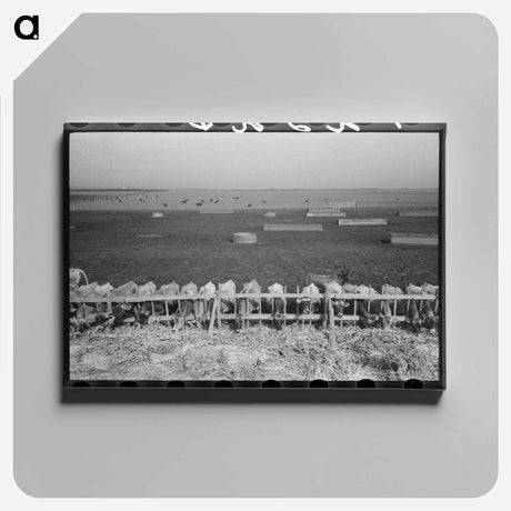 アートパネル-Mass Feeding of Cows
 - ラッセル リー Canvas.