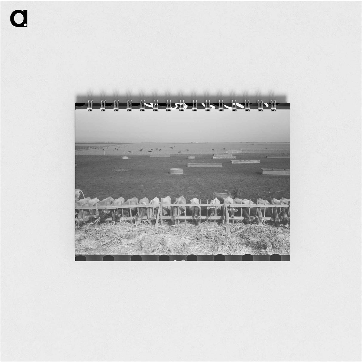 アートメモ帳-Mass Feeding of Cows
 - ラッセル リー Memo.
