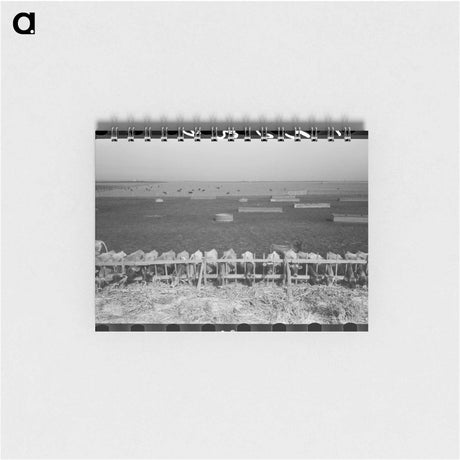 アートメモ帳-Mass Feeding of Cows
 - ラッセル リー Memo.