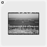 アートポストカード-Mass Feeding of Cows
 - ラッセル リー Postcard.