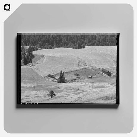 アートパネル-Farmstead, Idaho County
 - ラッセル リー Canvas.