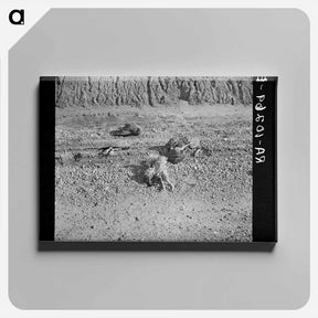 アートパネル-Flood-Drowned Chickens
 - ラッセル リー Canvas.