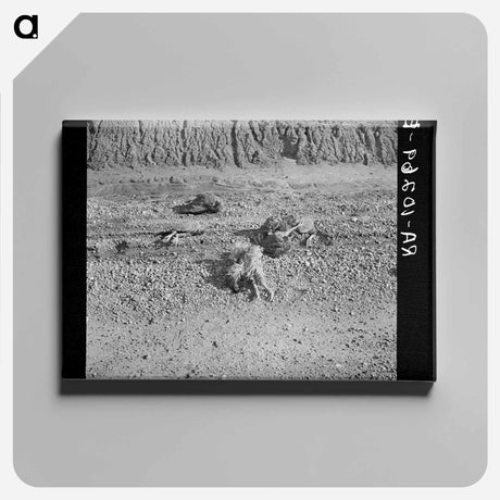 アートパネル-Flood-Drowned Chickens
 - ラッセル リー Canvas.