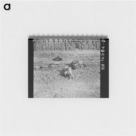 アートメモ帳-Flood-Drowned Chickens
 - ラッセル リー Memo.