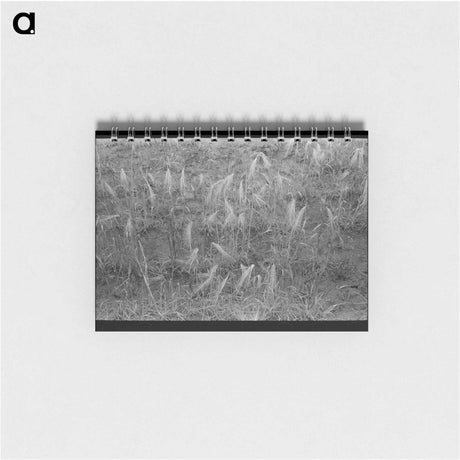 アートメモ帳-Burned Out Wheat
 - ラッセル リー Memo.