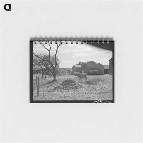 アートメモ帳-Cotton Gin Yard
 - ラッセル リー Memo.
