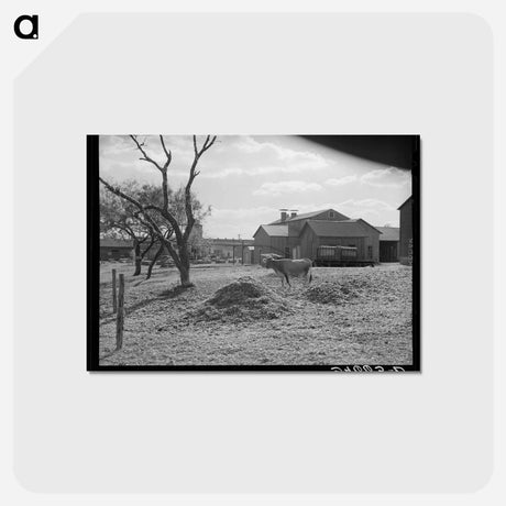 アートポストカード-Cotton Gin Yard
 - ラッセル リー Postcard.
