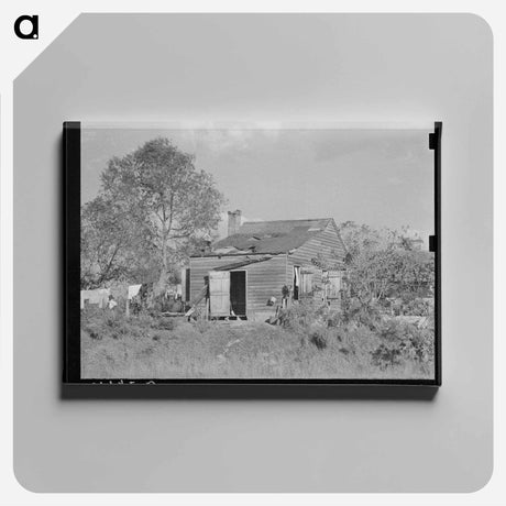 アートパネル-Plantation Worker's Home
 - ラッセル リー Canvas.