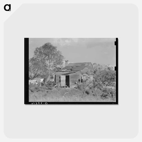 アートポストカード-Plantation Worker's Home
 - ラッセル リー Postcard.