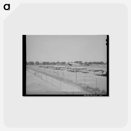 アートポストカード-Arizona Poultry Yard
 - ラッセル リー Postcard.