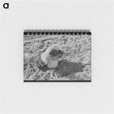 アートメモ帳-Mexican Carrot Pickers
 - ラッセル リー Memo.