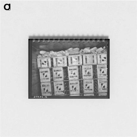 アートメモ帳-Cabbage Car Load
 - ラッセル リー Memo.