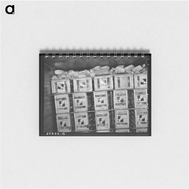 アートメモ帳-Cabbage Car Load
 - ラッセル リー Memo.