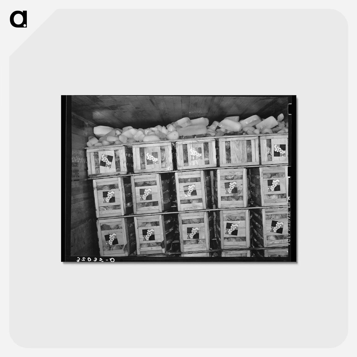 アートポストカード-Cabbage Car Load
 - ラッセル リー Postcard.